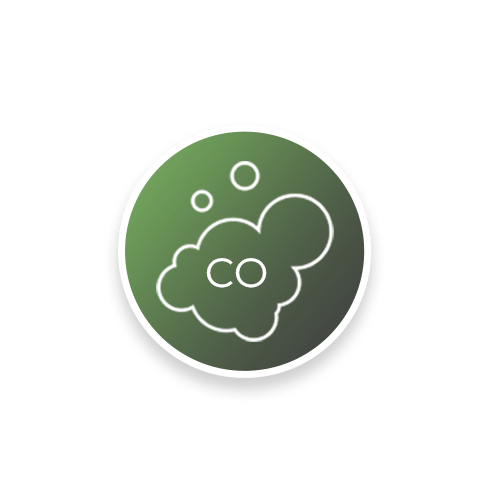co icon