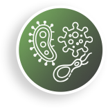 viruses and bacteria in airport