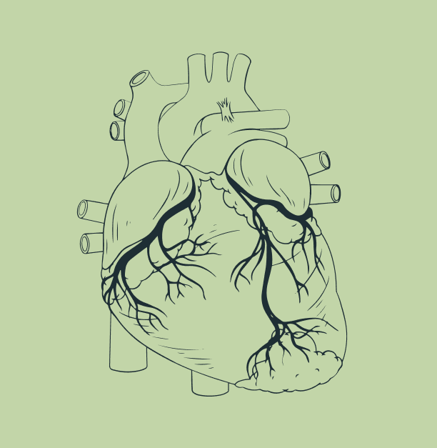 aheart problem due to no2
