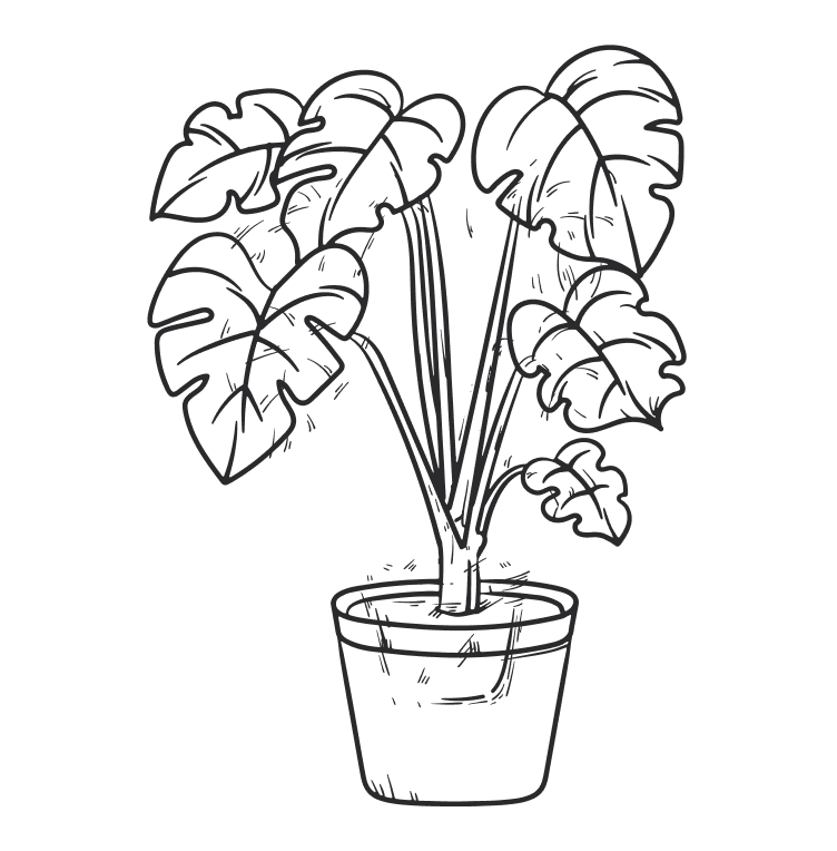 plant more trees