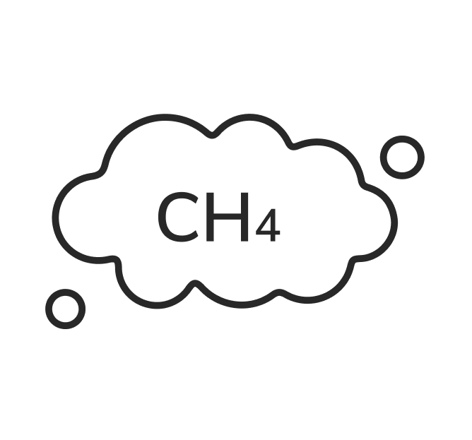 ch4 parameter
