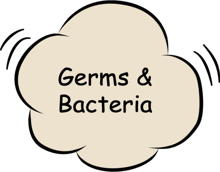 germs and bacteria germs and bacteria