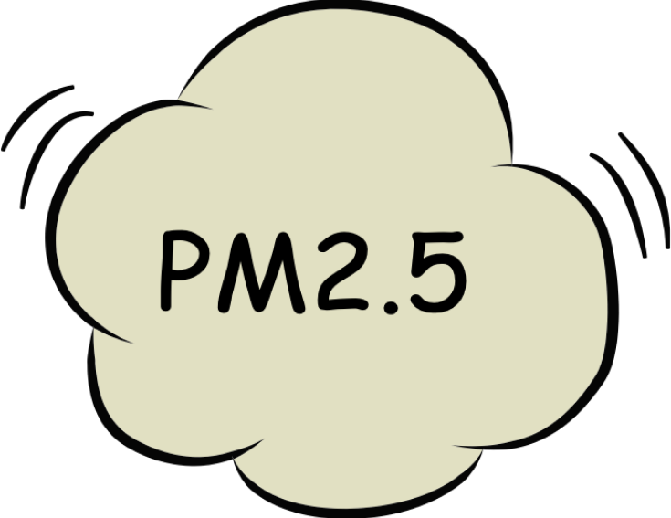 pm2.5 pm2.5