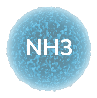 nh3 pollutant in city