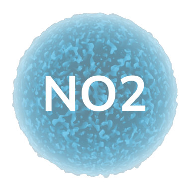 no2 pollutant in city
