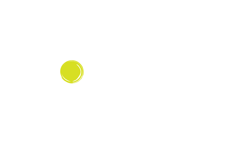 ola company