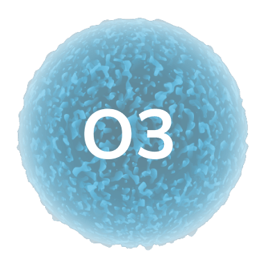 ozone pollutant in city